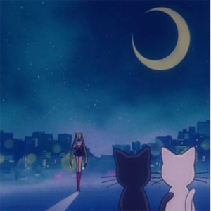 张柏芝与陈冠希操比
